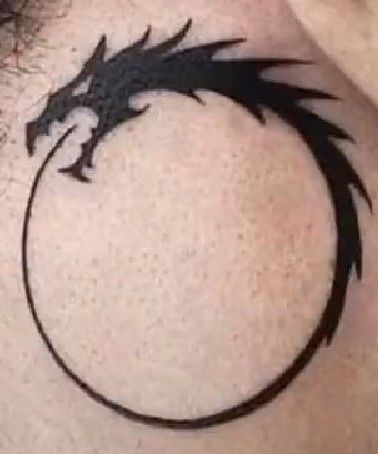 Dragon Tattoo Circle, Tattoo Circle, Circle Tattoos, Dragon Tattoo, Tattoos, Quick Saves