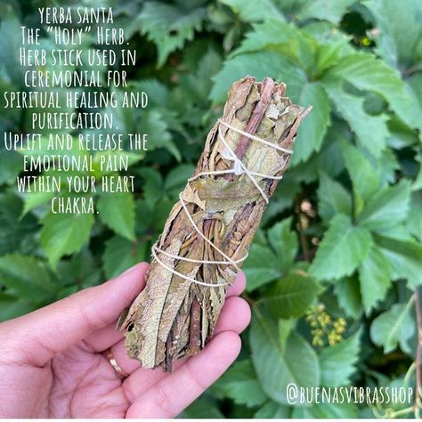 this listing is for one yerba santa bundle, approx 4 inches as a sweet smell, used for both purification purposes and renewal. Removes obstacles & welcomes new beginnings. This is a wonderful ceremonial wand to burn for healing, a fresh start, or love. ♥intentionally made with love. ♥ thank you for Yerba Santa Smudge Benefits, Home Cleansing Ritual, Yerba Santa Smudge, Palo Santo Smudging, Gray Witch, Herb Magic, Home Cleansing, Yerba Santa, Cleansing Ritual