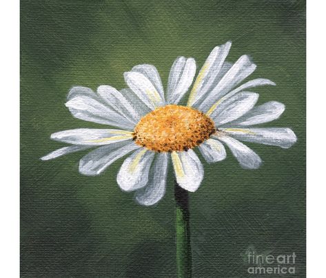 Canvas For Beginners, Daisy Painting, Canvas Painting, Daisy, Google Search, Paint, Wall Art, Canvas, Wall