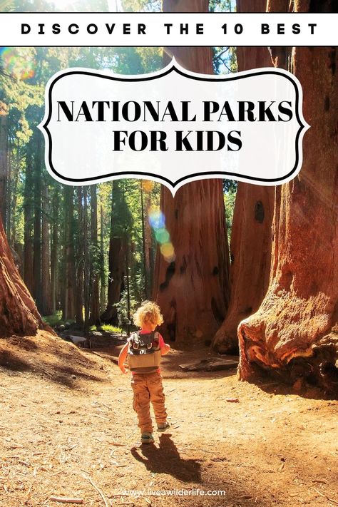 National Park Vacations With Kids, Best National Parks For Kids, National Parks For Kids, Us National Parks List, National Parks With Kids, Desert National Park, National Park Passport, National Parks Road Trip, Ideal Family