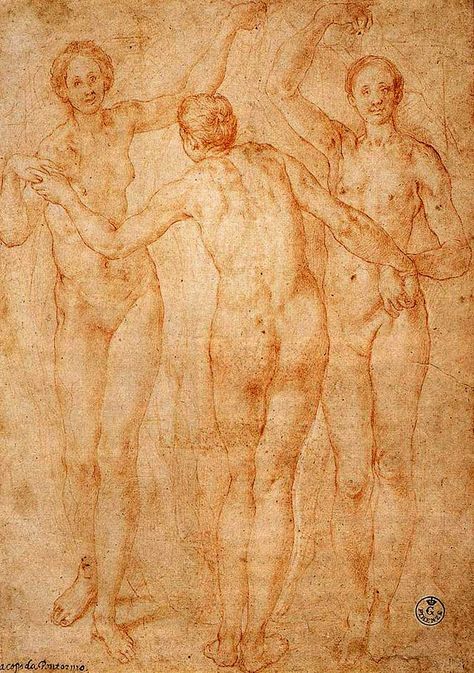 The Three Graces, Uffizi Gallery, Master Drawing, Three Graces, Chalk Drawings, Anatomy Drawing, Drawing Artist, Anatomy Reference, Old Master