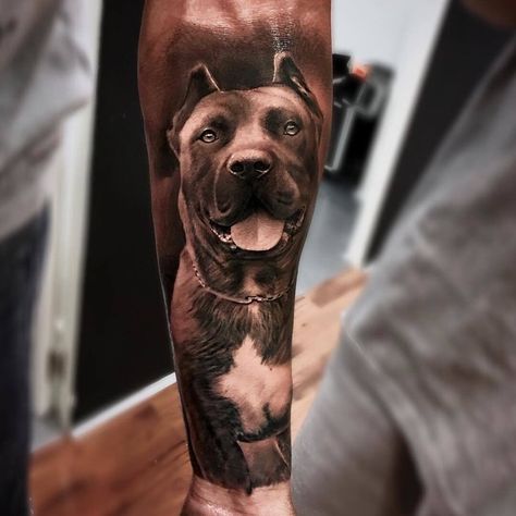 Dog Tattoo Ideas Realistic, Dog Tattoo Ideas Sleeve, Pitbull Dog Tattoo Ideas, Dog Portrait Tattoo Sleeve, Bully Dog Tattoo, Dog Sleeve Tattoo, Dog Tattoo Sleeve, Dog Tattoo Portrait, Pitbull Tattoo Ideas