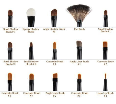 Brushology. Will be needing this this summer! Eye Makeup Brushes Guide, Sephora Lipstick, Sephora Brushes, Affordable Makeup Brushes, Brush Guide, Lipstick Brush, Makeup Brushes Guide, Best Makeup Brushes, Makeup Brush Set Professional