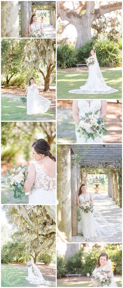 I can't think of anything better than photographing a beautiful bride at Airlie Gardens in Wilmington, NC! Summer bridal sessions are so beautiful! Airlie Gardens Wilmington Nc Wedding, Wilmington Nc, Bridal Guide, North Carolina Wedding, Nc Wedding, Bridal Session, Beautiful Bride, Wedding Portraits, Family Photographer