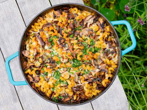 Marsala and Mushroom Pasta Bake Recipe | Michael Symon | Food Network Marsala Pasta, Mushroom Pasta Bake, Marsala Mushrooms, Cheesy Pasta Bake, Pasta Bake Recipe, Marsala Sauce, Michael Symon, Baked Pasta Recipes, Mushroom Pasta