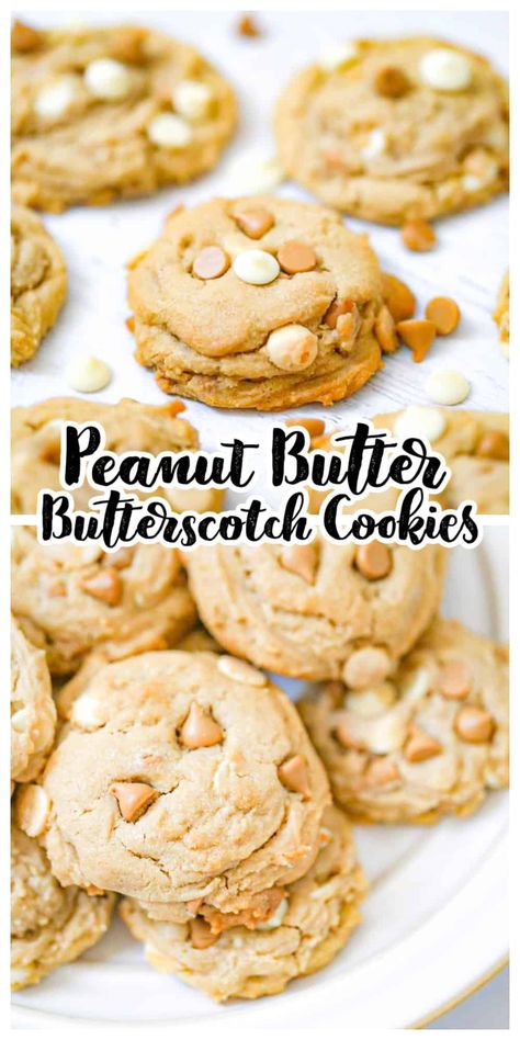 We are totally raving on these awesome soft and thick Peanut Butter Butterscotch Chip Cookies! Chocked full of peanut butter flavor and butterscotch chips galore, these cookies cannot be beat! Such a fun twist on peanut butter cookies! #cookies #peanutbutter #butterscotch #bestpeanutbuttercookies #chocolatechipcookies Peanut Butter Butterscotch Cookies, Butterscotch Chip, Butterscotch Chip Cookies, Butterscotch Recipes, Potluck Food, Oatmeal Butterscotch Cookies, Retro Desserts, Butterscotch Cookies, Best Peanut Butter Cookies