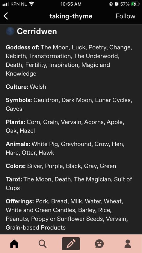 Cerridwen Goddess Symbols, Cerridwen Aesthetic, Welsh Witchcraft, Ceridwen Celtic Goddess, Wiccan Deities, Cerridwen Goddess, Celtic Otherworld, Goddess Cerridwen, Welsh Symbols