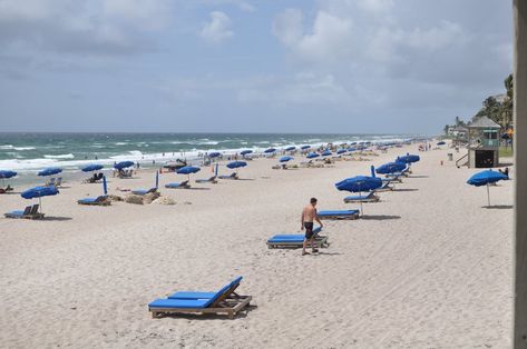 Read this article and learn about the best things to do, Deerfield Beach in Florida, USA. Deerfield Beach Florida, Beach In Florida, Boca Raton Florida, Island Park, Pier Fishing, Free Beach, Boat Rental, Florida Usa, Florida Travel