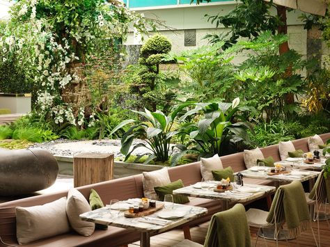 The Couryard at the Sanderson Campus Landscape Design, Indoor Garden Decor, Outdoor Restaurants, Restaurant Design Inspiration, Hotel Lobby Design, Dining Restaurant, Alfresco Dining, Luxury Boutique Hotel, Outdoor Restaurant