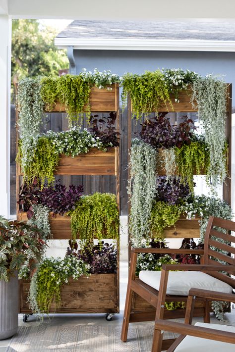 Grow Vertically, Portland Garden, Wall Gardens, Vertical Planting, Privacy Planter, Growing Cut Flowers, Tattoo Plant, Vertical Garden Design, Vertical Planter