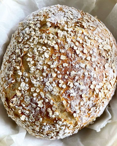 This beginner friendly honey oat artisan bread is no-knead, made with ingredients you probably already have in your pantry and super easy to make. Perfectly soft and fluffy on the inside with that crunchy, rustic crust we love, it’s one...Read More Honey Oat Bread, Oat Bread, Canadian Thanksgiving, Hot Bread, Artisan Bread Recipes, Knead Bread, Honey Oats, Cinnamon Raisin, Bread Ingredients