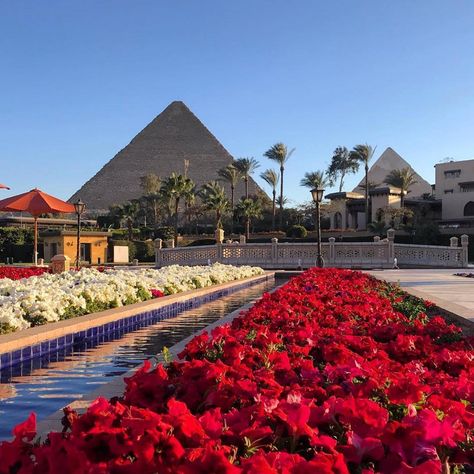 Marriott Mena House, Cairo on Instagram: “Ancient Egyptians celebrated the arrival of Spring with a festival known as Shemu, they would offer to their Gods their most prized dishes…” Ancient Egyptians, Spring Beauty, The Arrival, Ancient Egyptian, Cairo, Sydney Opera House, Egypt, Festival, House Styles