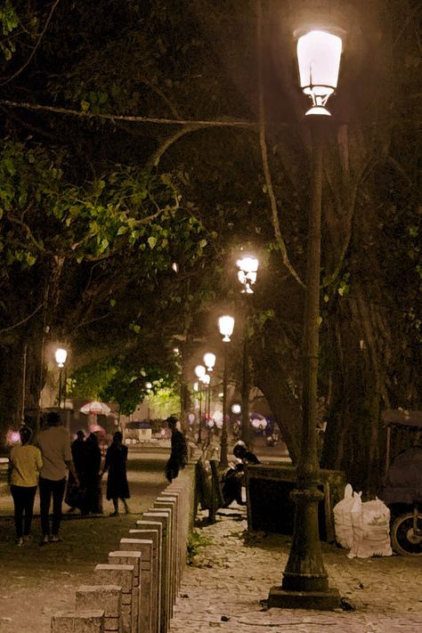 Fort Kochi Photography Poses, Fortkochi Street, Fortkochi Photography, Fort Kochi Night, Fort Kochi Photography, Kochi Night View, Fort Kochi Aesthetic, Ernakulam City, Kochi Night