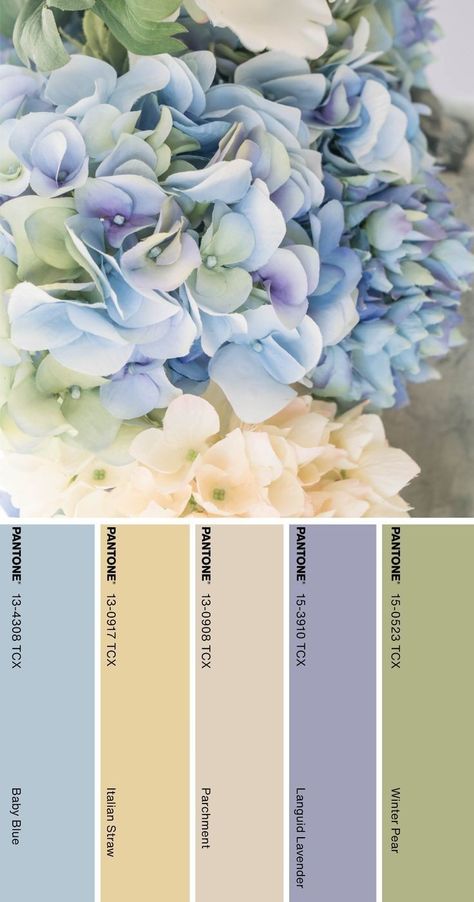 Periwinkle House Exterior Paint Colors, Bridgeton Color Palette, French Blue Colour Palette, Periwinkle And Green Color Palette, Provence Color Palette, Forget Me Not Color Palette, Periwinkle Color Scheme, Regency Color Palette, Bridgerton Colour Palette