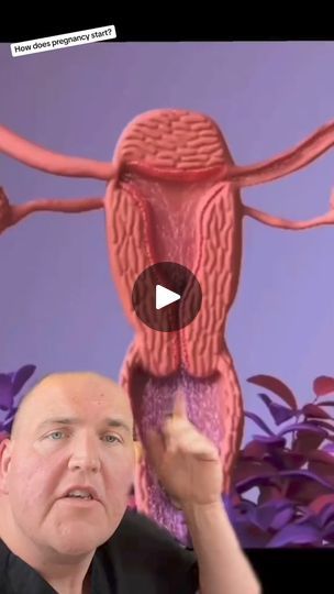 1.3M views · 17K reactions | How does pregnancy start? This is how most of us got brought into the world. #womenshealth #menshealth #anatomy #babies | Scibodytherapy | Scibodytherapy · Original audio Pregnancy Anatomy, Pregnancy Care, Men’s Health, Womens Health, Anatomy, Audio, Bring It On, The Originals, The World