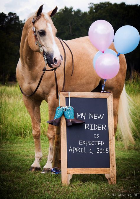 Horse baby announcement Pictures With Horses, Baby Announcement Pictures, Western Babies, Baby Gender Reveal, Baby Reveal, Baby Gender, Horse Photography, Trendy Baby, Horse Pictures