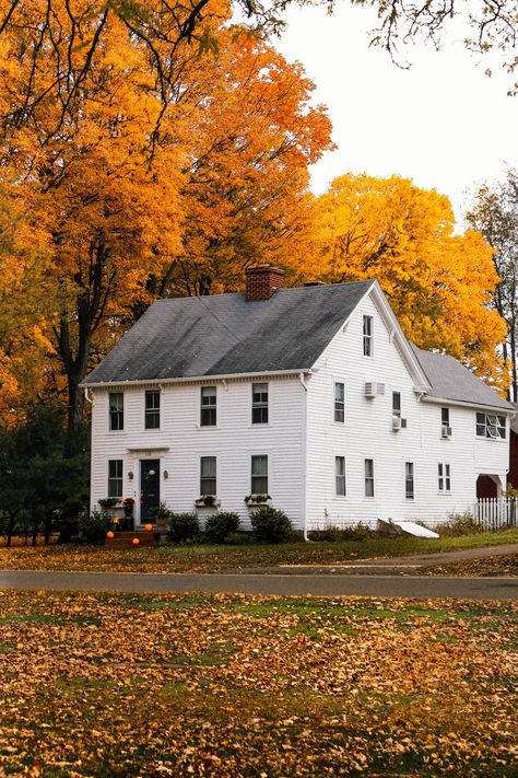 New England Fall Photography, Old New England Farmhouse, New England House Aesthetic, Fall In Nantucket, New England Countryside, Fall Connecticut, Fall Massachusetts, Nantucket Fall, Connecticut Fall