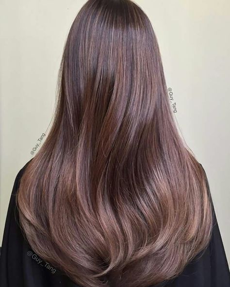 Mahogany violet babylights with gold Gold Hair Color, Hair Color 2017, Balayage Hair Blonde Medium, Balayage Hair Ash, Balayage Hair Caramel, Highlights For Dark Brown Hair, Guy Tang, Balayage Hair Dark, Brunette Balayage Hair