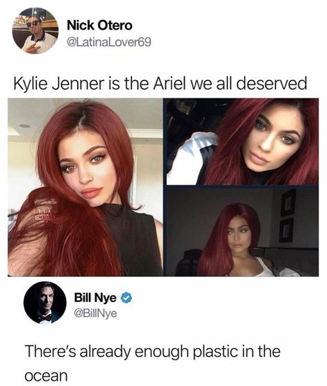 Kylie Jenner Ariel, Plastic In The Ocean, Celebrity Memes, Memes Humor, In The Ocean, Hysterically Funny, Really Funny Memes, Funny Tweets, Awesome Stuff