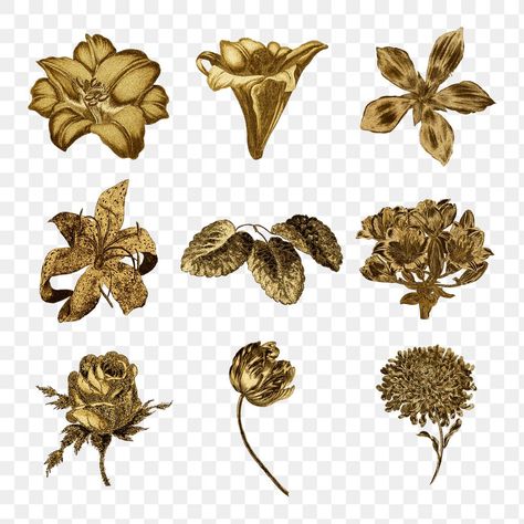 Vintage gold flower illustration set | free image by rawpixel.com / Aom Woraluck Gold Stickers Printable, Leaf Sticker, Gold Png, Gold Clipart, Gold Printable, Vintage Clipart, Birthday Icon, About China, Flower Outline