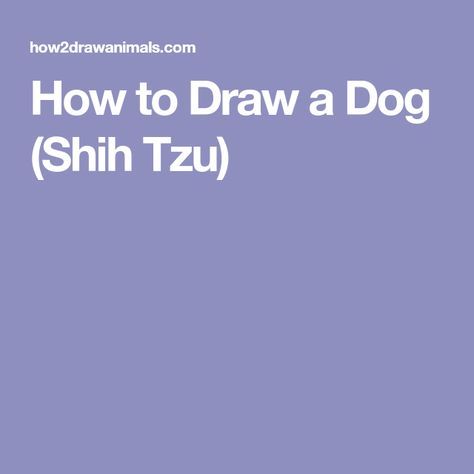 How to Draw a Dog (Shih Tzu) Shih Tzu For Sale, Dog Shih Tzu, Draw A Dog, Puppy Labrador, Youtube Drawing, Drawing Instructions, Aussie Puppies, Real Bones, Animal Advocacy