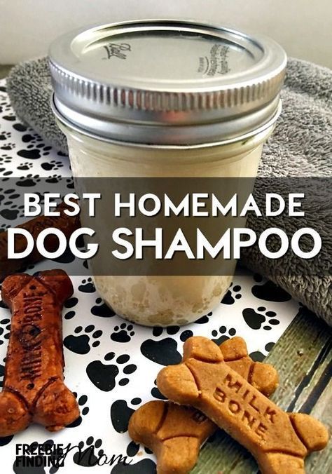 Diy Dog Shampoo, Homemade Dog Shampoo, Dollar Diy, Oatmeal Dog Shampoo, Dogs Treats, Dog Remedies, Dry Itchy Skin, Dog Shampoo, Dog Care Tips