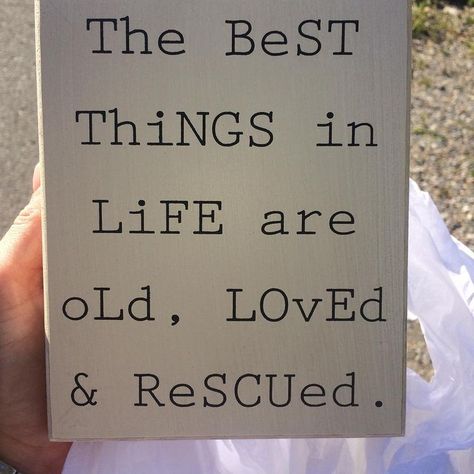 Quote about antiquing, thrifting, flea market finds, upcycling, restoration. Junking Quotes, Thrifting Quotes, Antique Quotes, Rehab Addict, Nicole Curtis, Flea Market Flip, Shopping Quotes, Vintage Quotes, Flea Market Finds