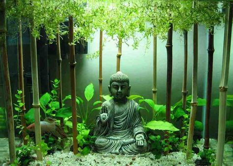 Buddha Aquarium Decor Fish Tank Themes, Kolam Koi, Amazing Aquariums, Small Fish Tanks, Cool Fish Tanks, Fish Tank Design, Betta Aquarium, Bawah Air, Aquarium Terrarium