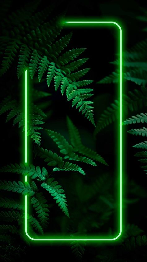 Wallpaper Frame, Night Photography Portrait, Green Nature Wallpaper, Fern Wallpaper, 4k Wallpaper Iphone, Dark Black Wallpaper, Neon Backgrounds, Slytherin Aesthetic, Time Painting