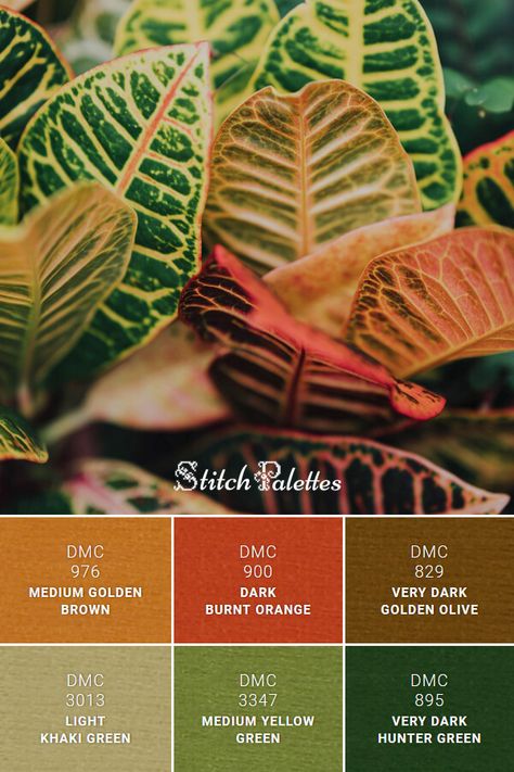 Dark Burnt Orange, Medium Golden Brown, Dark Hunter Green, Orange Color Palettes, Dark Hunter, Color Schemes Colour Palettes, Green Palette, Green Colour Palette, Color Palette Design