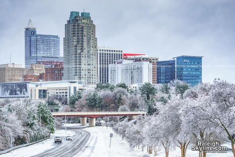 Raleigh Skyline, Luxury Landscaping, Low Maintenance Landscaping, Snow Ice, Winter Storm, City Landscape, Travel Info, Raleigh Nc, Zen Garden