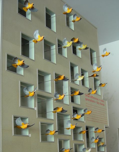 Bird Exhibition, Autumn Window Display, Bird Paradise, Canary Birds, Interactive Exhibition, Window Display Design, Interactive Display, Museum Displays, Bird Theme