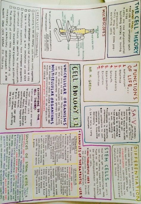 Year 12 Biology Notes, Revision Layout Ideas, Year 11 Revision, Revision Notes Layout, Revision Layout, Revision Mindmaps, Mindmap Ideas Aesthetic, Gcse Science Revision, Gcse Biology