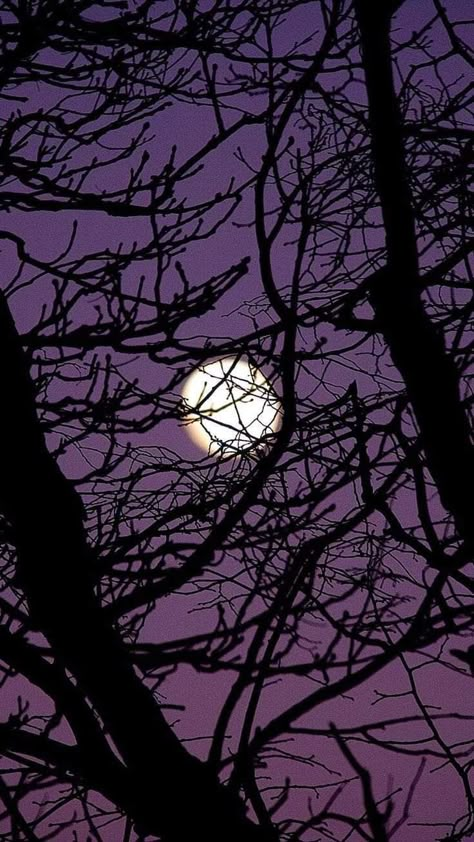 Gothic Moon Wallpaper, Gothic Winter Wallpaper, Fall Purple, Purple Gothic, Halloween Wallpaper Backgrounds, Whatsapp Wallpaper Cute, Aesthetic Wallpaper Iphone, Goth Wallpaper, Purple Vibe