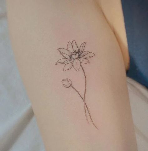 110 Water Lily Tattoo Designs That Will Bring You Peace Water Lily With Stem Tattoo, Fineline Water Lily Tattoo, Water Lilly Tattoos, Fine Line Water Lily Tattoo, Water Lilly Tattoo Stencils, July Birth Flower Tattoo Water Lilies, Simple Water Lily Tattoo, Watering Tattoo, Waterlily Tattoo Design