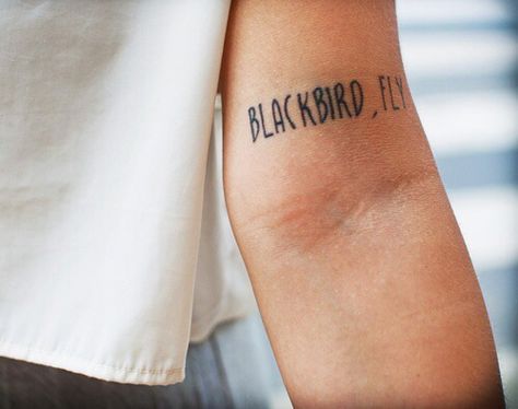 Beatles - Blackbird. Beatles Inspired Tattoos, Beatles Tattoo, Arm Tats, Text Tattoo, Tattoo Now, Gorgeous Tattoos, Tattoo Arm, Bird Tattoo, Trendy Tattoos