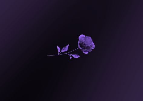 Wallpaper Video, Iphone Wallpaper Video, Purple Dark, Kawaii Wallpaper, Purple Flower, Ipad Wallpaper, Art Wallpaper, Iphone Wallpaper, Ipad