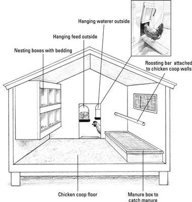 Garden Chicken Coop, Chicken Flock, Cute Chicken Coops, Easy Chicken Coop, Chicken Coop Garden, Chicken Shed, Duck Coop, Backyard Chicken Coop Plans, Diy Chicken Coop Plans