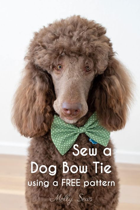 How to Sew a Dog a Bow Tie with a Free Pattern & Video - Melly Sews Sewing Dog Bandanas Free Pattern, Dog Bow Pattern Free, How To Sew A Dog Bandana, Dog Scarfs Bandana Pattern, Dog Neck Tie Pattern Free, How To Make A Dog Bow Tie, Dog Bow Ties Diy Free Pattern, Dog Sewing Patterns Free, Dog Bowtie Pattern Free