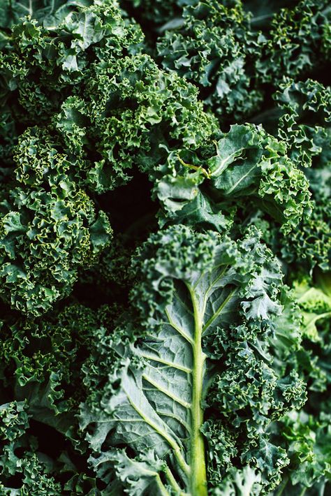 Vegetables Photography Aesthetic, Kale Aesthetic, January Produce, Veggie Photography, Christmas Dinner With Friends, Cozy Christmas Dinner, Salad Photography, Winter Veggies, Food Texture