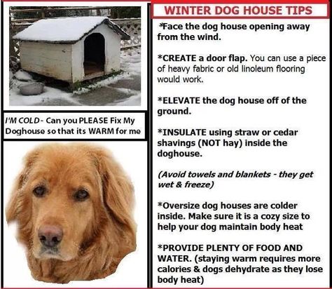 Learn how to keep your dog's dog house a lot warmer during the winter!!! Dog House For Winter, Winter Dog House, Insulated Dog House, Animal Awareness, Large Dog House, Dog House Plans, Outdoor Dog House, Outside Dogs, Animal Ideas