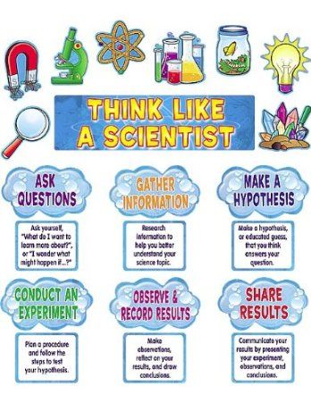 Think Like A Scientist, Science Display, Science Bulletin Boards, Science Classroom Decorations, Science Boards, Stem Challenge, 6th Grade Science, Bible Ideas, Science Topics