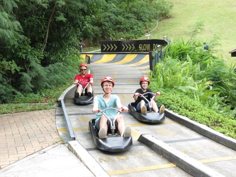 Luge ride, Santosa Island Singapore. I had so much fun here Sky Ride, Luge, Dream Board, Places Ive Been, Singapore, France, Travel, Quick Saves