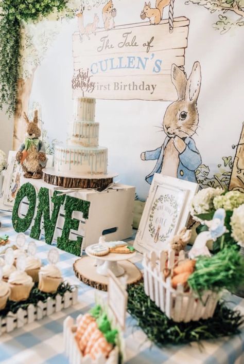 Some Bunny Is One Boy, Some Bunny Is Turning One Boy, Peter Rabbit First Birthday Boys, Peter Rabbit 1st Birthday Boy, Peter Rabbit Theme Party, Peter Rabbit Birthday Party, Easter Birthday Party, Rabbit Theme, Peter Rabbit Birthday