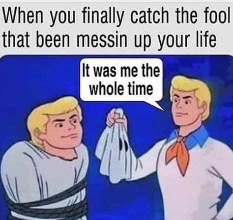 Scooby Doo Memes, Scooby Doo Mystery Incorporated, Abraham Hicks Quotes, E Card, Best Memes, Funny Posts, Dankest Memes, Scooby Doo, I Laughed