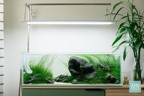 GlassAqua shared a post on Instagram: “Quarantine isn’t so bad when you have planted tanks. Let’s continue to do our parts and stay home!…” • Follow their account to see 1,593 posts. River Aquascape, Aquarium Scape, 20 Gallon Long Aquarium, Aquascaping Rocks, Boxed Water, Aquarium Tanks, Aquascape Ideas, Float Tank, Nitrogen Cycle