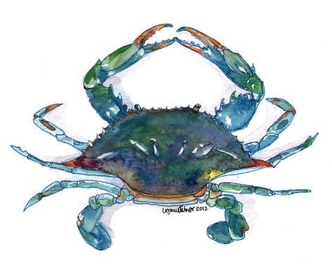 Blue Crab Watercolor, Crab Clipart, Blue Crabs Art, Crab Watercolor, Crab Painting, Crab Tattoo, Maryland Blue Crab, Blue Crabs, Crab Art