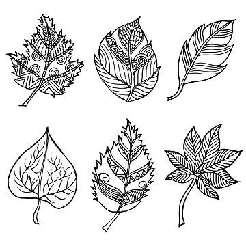 Black White Drawing, White Autumn, Leaf Vector, Vector Nature, Branch Vector, Leaf Outline, Black Png, Floral Vector, Leaf Clipart