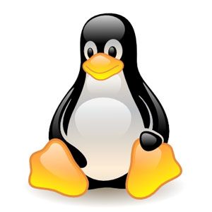 Linux Os, Linux Kernel, Pink Cushions, Baby Penguins, Baby Cartoon, Coloring Stickers, Mouse Pads, Cartoon Illustration, Hot Deals