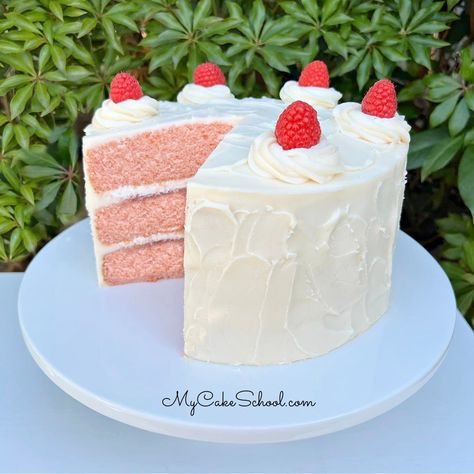 Raspberries Cake, Boozy Cakes, Raspberry Champagne, My Cake School, Berries Cake, Everyday Cakes, Pink Champagne Cake, Cakes Fondant, Champagne Cake